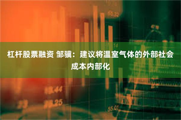 杠杆股票融资 邹骥：建议将温室气体的外部社会成本内部化