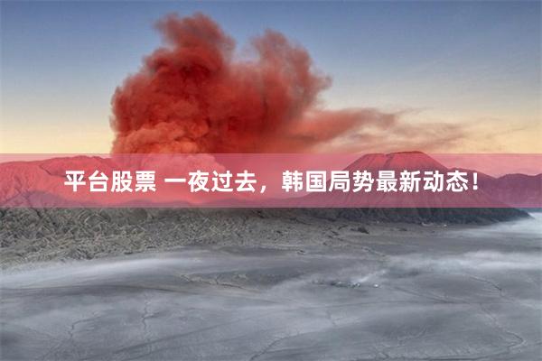 平台股票 一夜过去，韩国局势最新动态！