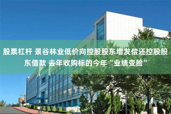 股票杠杆 景谷林业低价向控股股东增发偿还控股股东借款 去年收购标的今年“业绩变脸”