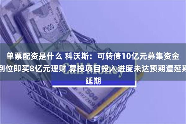 单票配资是什么 科沃斯：可转债10亿元募集资金到位即买8亿元理财 募投项目投入进度未达预期遭延期