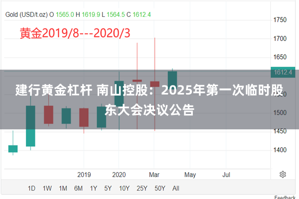建行黄金杠杆 南山控股：2025年第一次临时股东大会决议公告