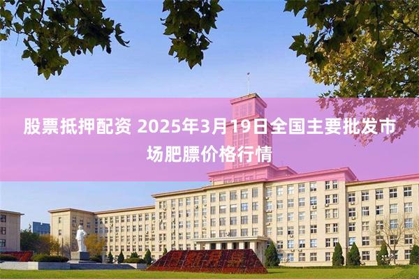 股票抵押配资 2025年3月19日全国主要批发市场肥膘价格行情