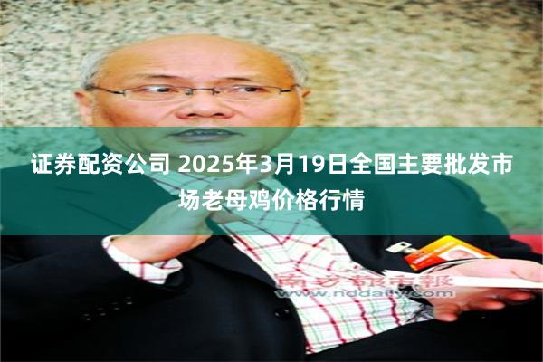 证券配资公司 2025年3月19日全国主要批发市场老母鸡价格行情