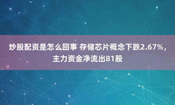 炒股配资是怎么回事 存储芯片概念下跌2.67%，主力资金净流出81股