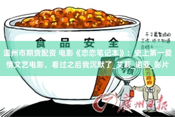 温州市期货配资 电影《恋恋笔记本》：史上第一爱情文艺电影，看过之后我沉默了_艾莉_诺亚_影片