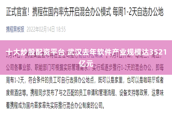 十大炒股配资平台 武汉去年软件产业规模达3521亿元